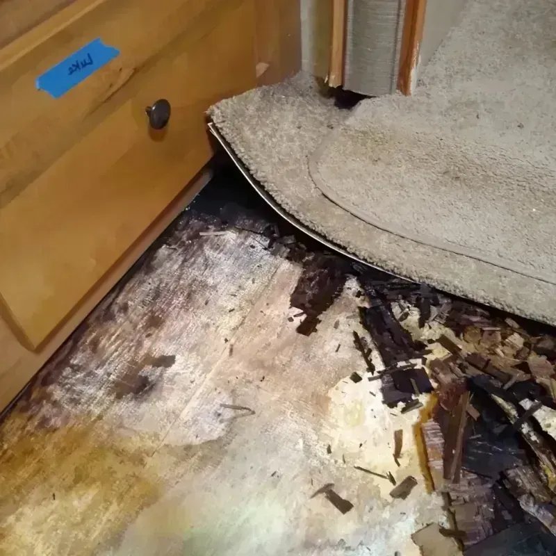 Wood Floor Water Damage in Kermit, TX